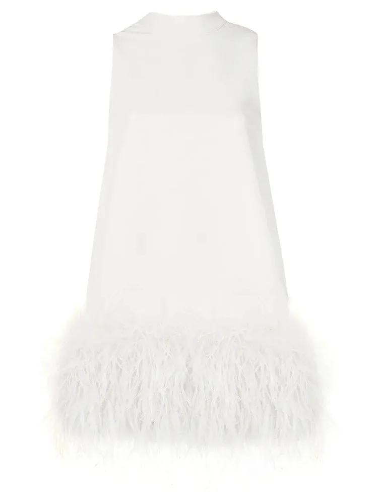A&A Luxe A Line Feather Tassel Dress