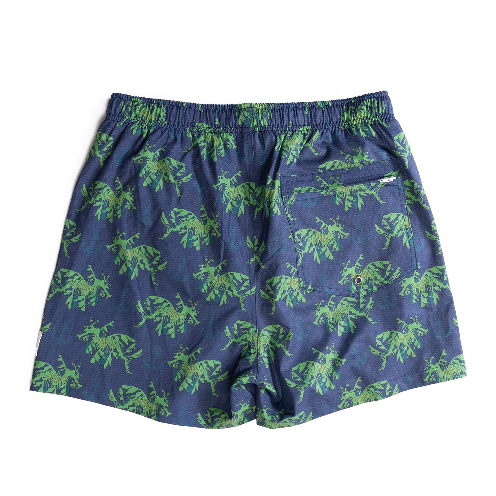 Men's Stretchy Trunks: OG Leafy Seadragons