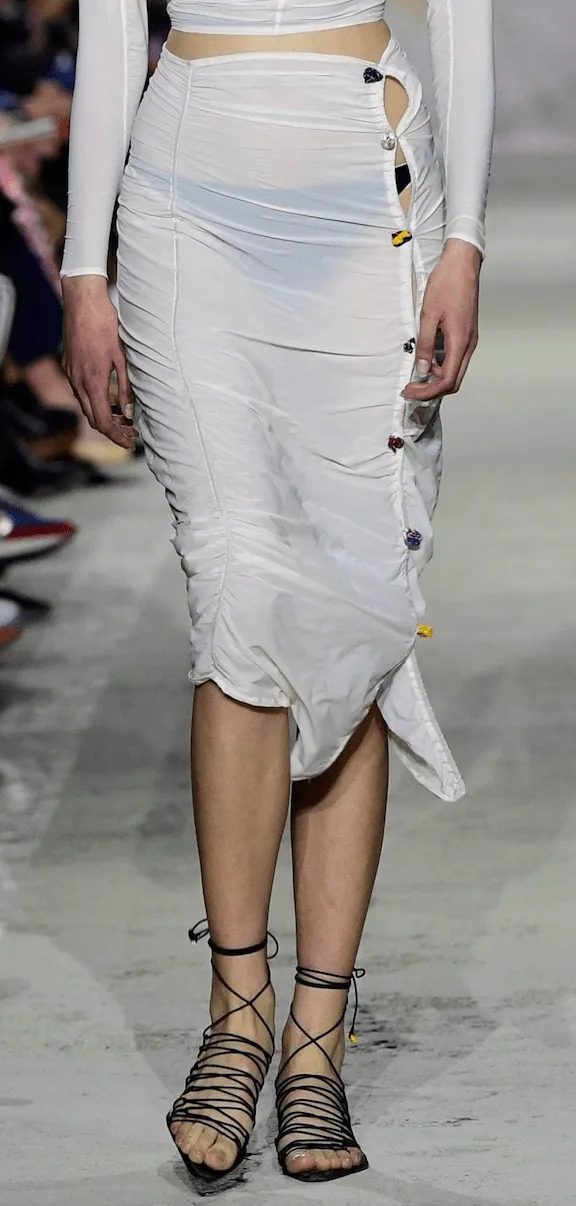 Sheer Skirt